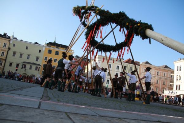 maibaum gm