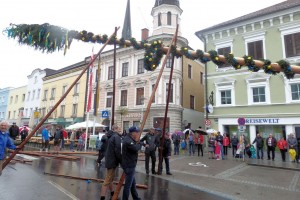 Maibaum 2015-4