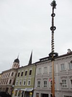 Maibaum 2015-5