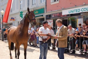 pferdemarkt 2014