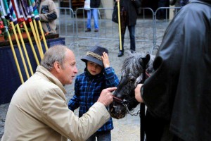 pferdemarkt 2015_Foto_klein