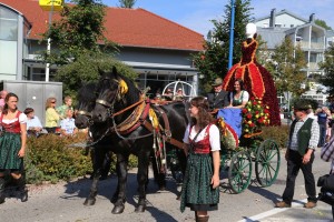 kutsche und sisi