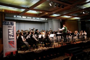 Cäcilienkonzert der Feuerwehrmusik Langwies (Foto: privat)