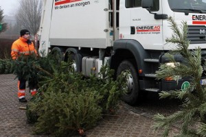 Christbaumentsorgung (Foto: Energie AG)