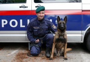 Polizeidiensthund Tarzan (Foto: Polizei)