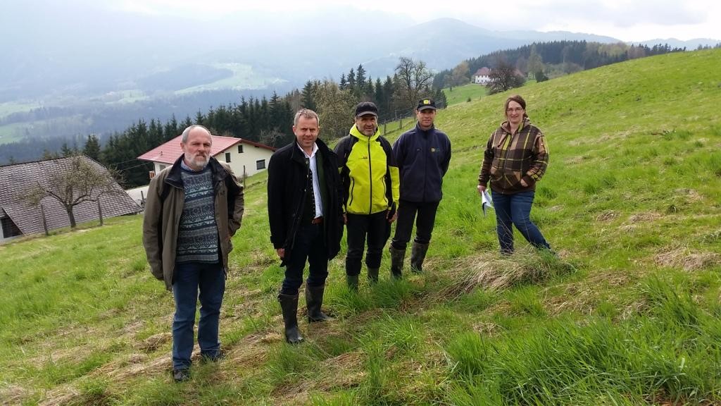 Erhaltung von 3 Hektar Wiesenflächen am Hacklberg in Scharnstein