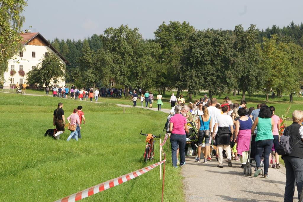 Dorf-Roas in der Gemeinde Regau - salzi.at