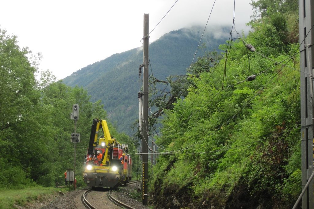 öbb rodungsarbeiten (1)