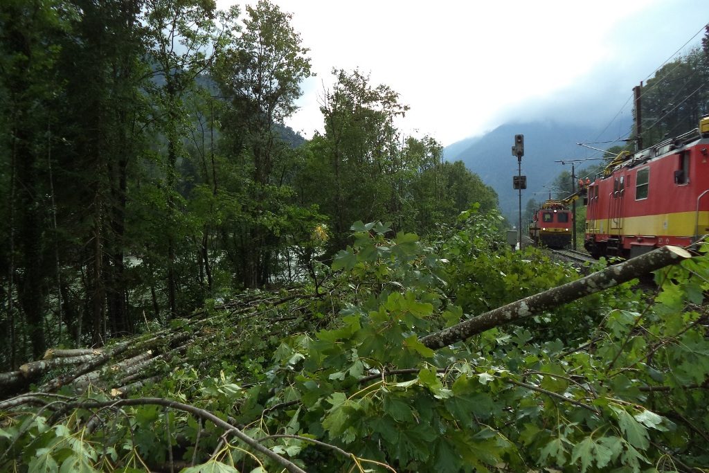 öbb rodungsarbeiten (2)