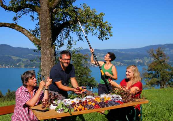 naturpark-ist-ein-hort-fuer-eine-artenvielfalt-an-primitivpflaumen_nupat_schwarzenlander_klein