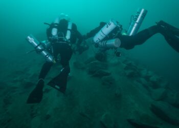 Die Österreichische Wasserrettung feiert ihre Gründung vor 60 Jahren