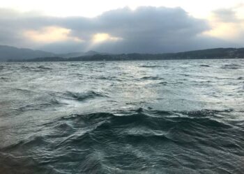Losgerissene Boote und Personenrettung am Attersee