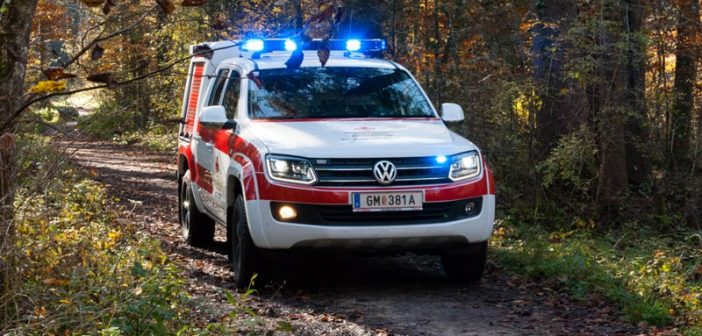 Hund attackierte Schulklasse – zwei Schüler verletzt