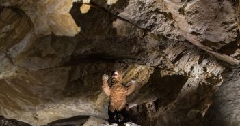 Höhlenbären in Dachstein Rieseneishöhle entdeckt