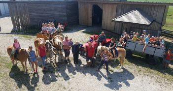 Pöndorfer Ferienprogramm auf Emil’s Pferdehof