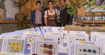 Naturpark-Roas und Zwetschkenfest