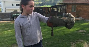 Eulenrettung in Seewalchen
