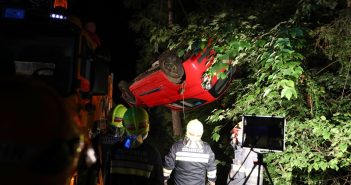 Mit Auto in Bäume gekracht, Lenkerin unverletzt