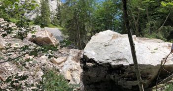 Weiterhin Felssturz-Gefahr am Traunstein, Mairalm-Forststraße bleibt gesperrt