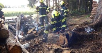 Feuerwehr verhindert Waldbrand