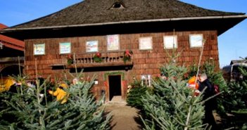 Adventmarkt im Freilichtmuseum Stehrerhof