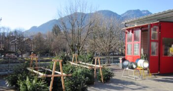 Christbaumverkauf bei der HFW Bad Ischl