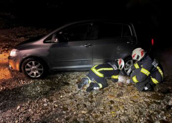 Mit Auto in die Traun gestürzt