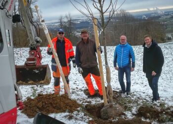 Blumenwiese und Obstbäume am Grünberg stärken Artenvielfalt