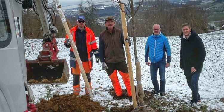 Blumenwiese und Obstbäume am Grünberg stärken Artenvielfalt