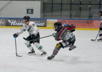 Sensationeller Kantersieg der Sharks gegen UHT DUKES Graz