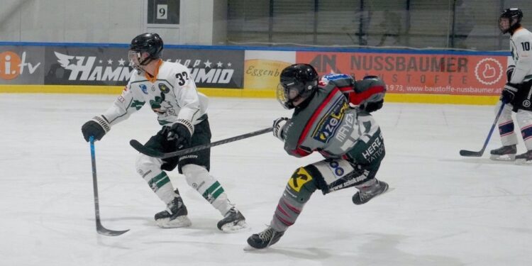 Sensationeller Kantersieg der Sharks gegen UHT DUKES Graz