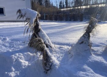 Winterwonderland im Krippendorf Hagenmühle/Kirchham