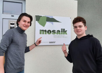 Freie Zivildienstplätze beim Mosaik