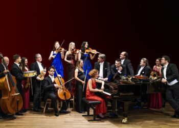 Neujahrskonzert mit dem Salonorchester