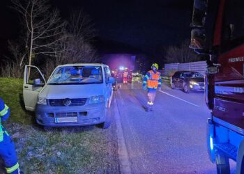 Fahrzeuge prallten gegen umgestürzten Baum