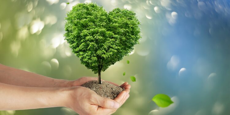 Verleihung des 1. Gmundner Klimaschutzpreises