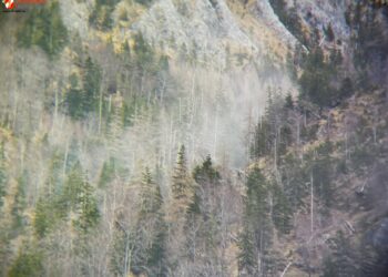 Waldbrand durch staubige Trockenheit