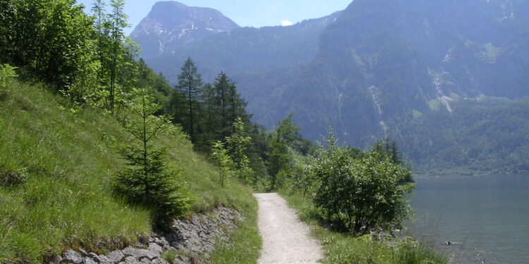 Rad- und Wanderweg am Hallstättersee nach Sturmschaden wieder geöffnet
