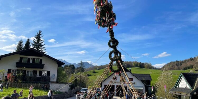 Pernecker Maibaumaufstellen 2024