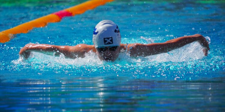 5 Podestplätze für SV Vöcklabruck-Schwimmer in Wels