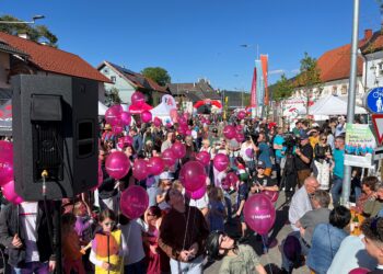 Großer Erfolg beim 1. Großen Straßenfest in Scharnstein