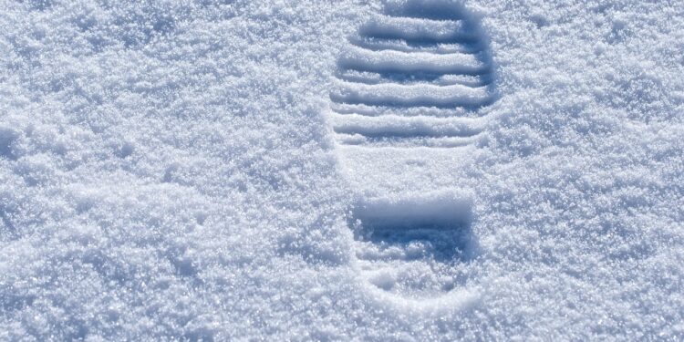 track, snow trail, footprint