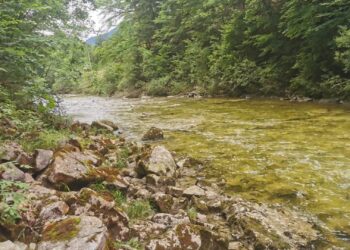 Sturz aus 10 Metern Höhe in Rettenbachklamm
