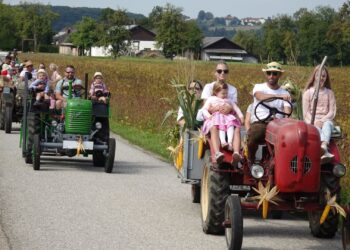 7. Laakirchner Hofroas