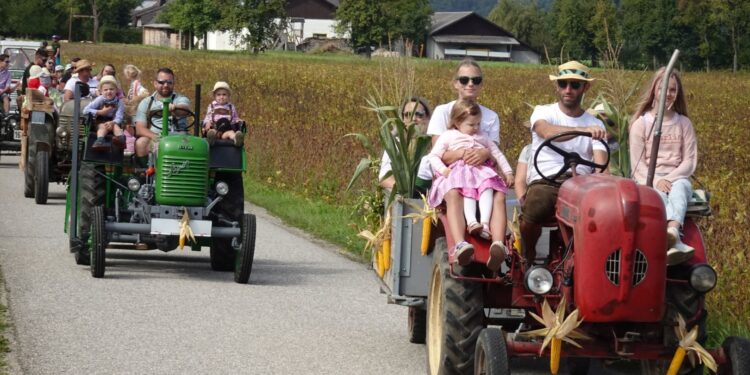 7. Laakirchner Hofroas