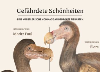Exotische Tiere hautnah erleben: Kunst trifft auf Artenschutz in Gmunden  