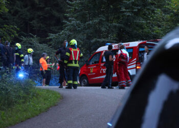 Radfahrer bei Abfahrt vom Hongar über Böschung abgestürzt und tödlich verletzt