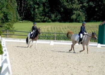 Großer Erfolg beim Reitbewerb CDN NEU auf der Reitanlage des URV Fleckleiten/Gschwandt