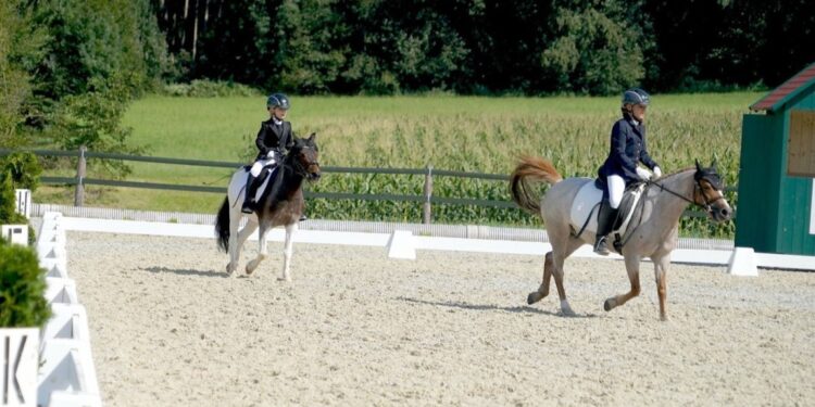 Großer Erfolg beim Reitbewerb CDN NEU auf der Reitanlage des URV Fleckleiten/Gschwandt