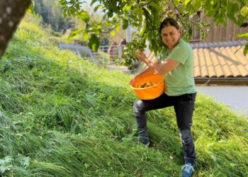 Selbstversorgungsoffensive bei Obst- und Gemüseanbau